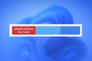 Storage partition bar showing WinRE partition too small highlighted in red on a blurred Windows 11 background